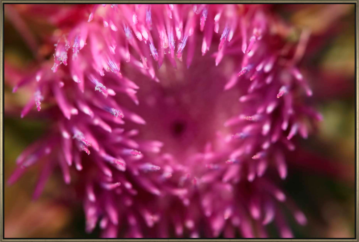 The Plant Open Metal