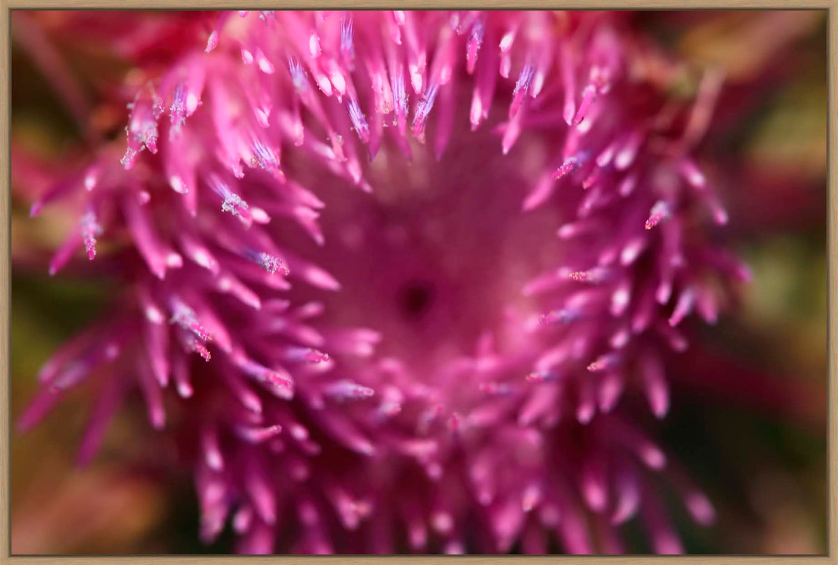 The Plant Open Metal