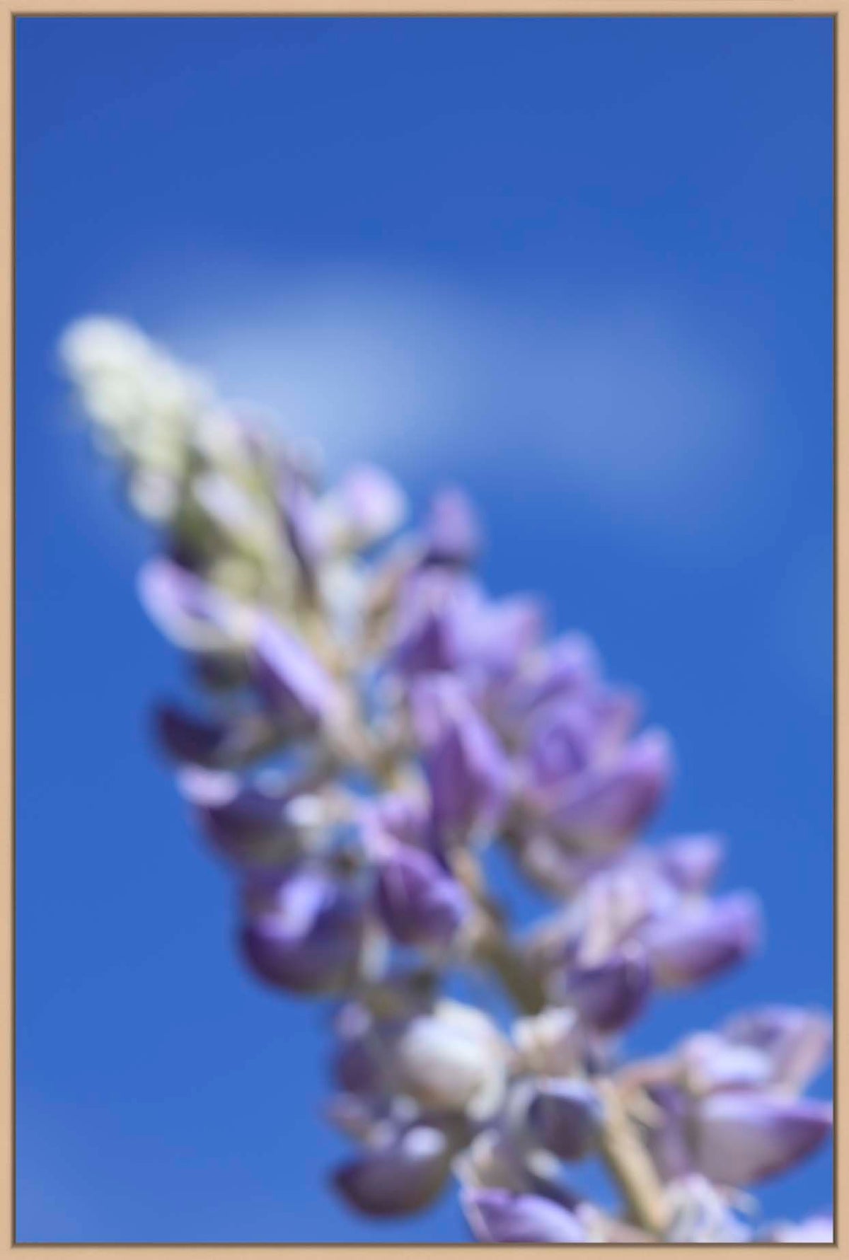 Wish Open Canvas